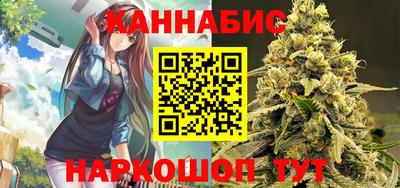 гашик Будённовск