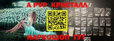 гашик Будённовск
