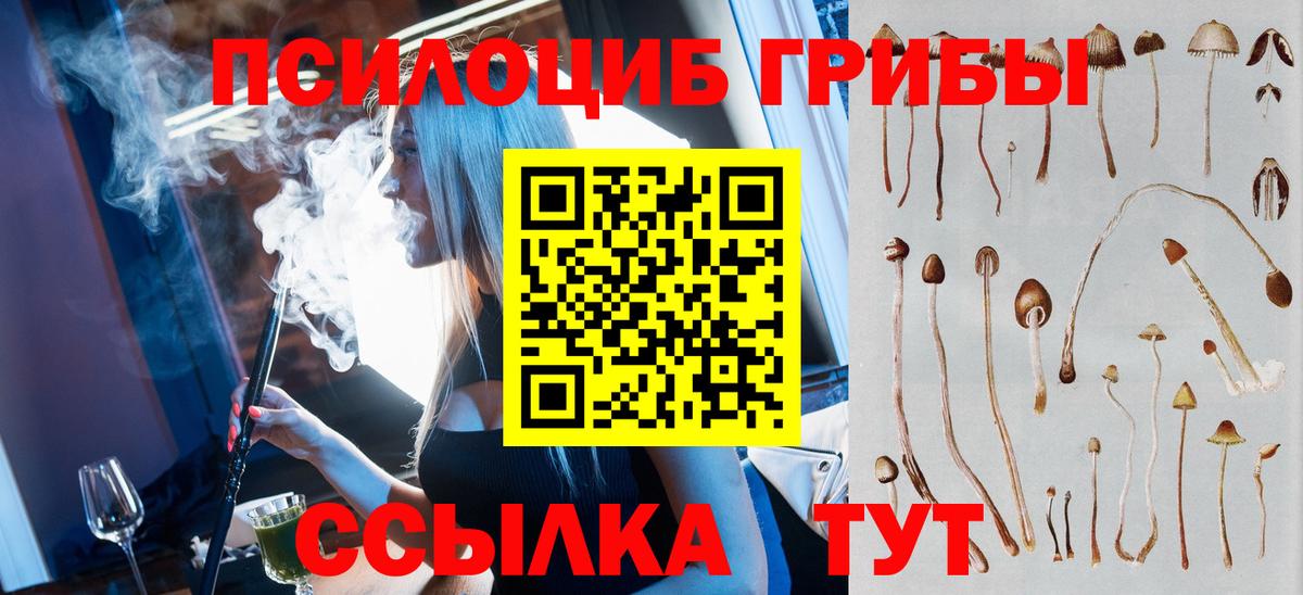 Котельники  Псилоцибиновые грибы MAGIC MUSHROOMS  Псилоцибиновые грибы Magic Shrooms  Вход с VPN 